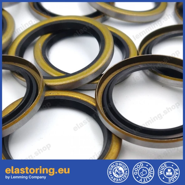 Oil seal WDR-B12 30x40x4 NBR Oil seal WDR-B12 30x40x4 NBR
