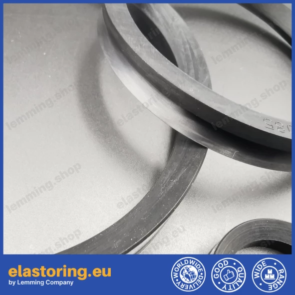 V-ring VL 250 NBR V-ring VL 250 NBR