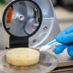 Weicon Silicone grease 5g Weicon Silicone grease 5g