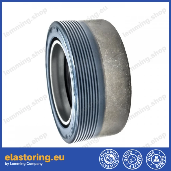 Wheel hub oil seal 40x60x25 RWDR-KOMBI