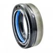 Wheel hub oil seal 45x62x19 COMBI SF20
