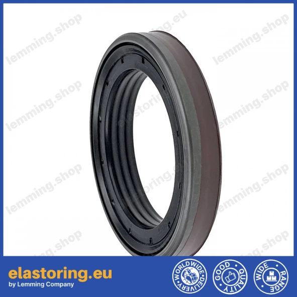 Wheel hub oil seal 55x80x12,5/14 RWDR FPM Wheel hub oil seal 55x80x12,5/14 RWDR FPM