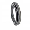Wheel hub oil seal 65x92x10/15 RWDR-K7 FPM Wheel hub oil seal 65x92x10/15 RWDR-K7 FPM