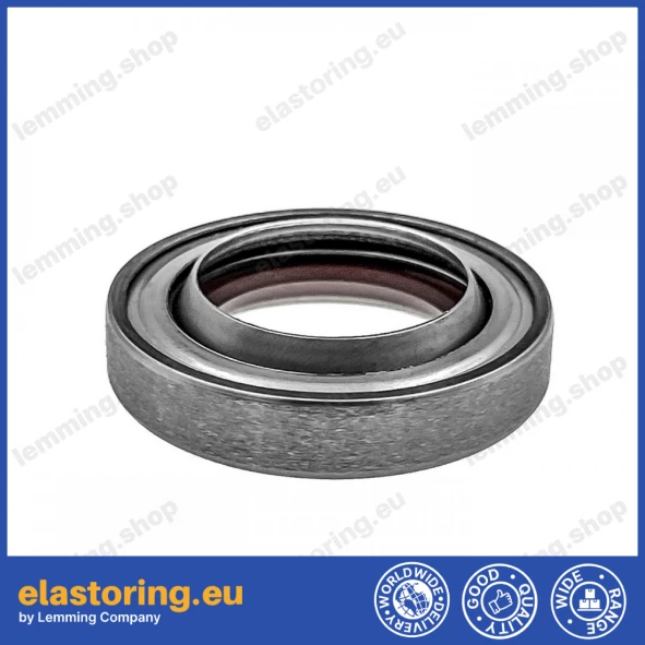 Wiper 20DR-20x33x7 FPM/SS Wiper 20DR-20x33x7 FPM/SS