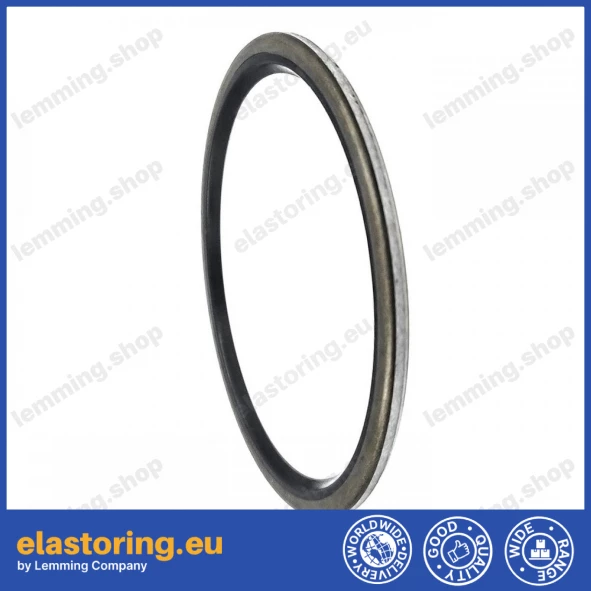 Wiper VM 57,15x66,68x2,77 NBR+Stal