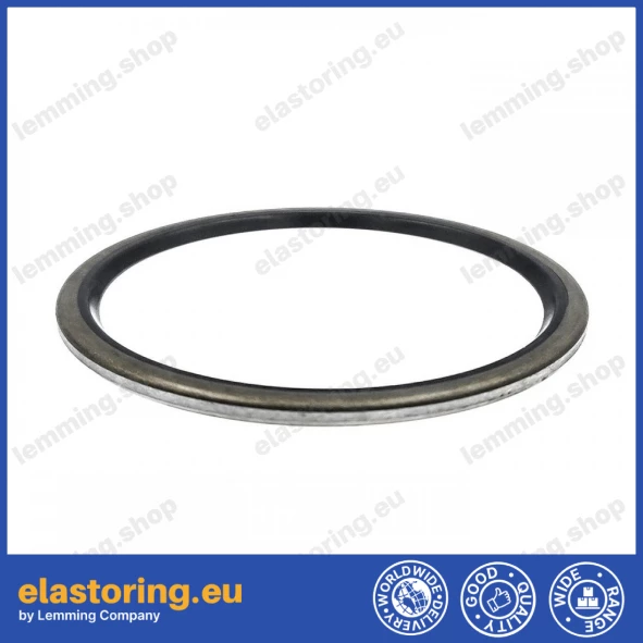 Wiper VM 57,15x66,68x2,77 NBR+Stal