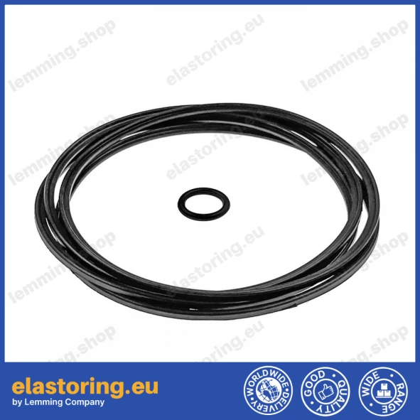 Repair kit for DANFOSS 61329