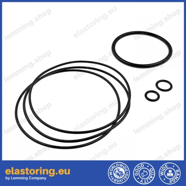 Seal kit for DANFOSS 64466