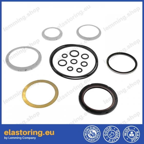Repair kit for DANFOSS 9900387