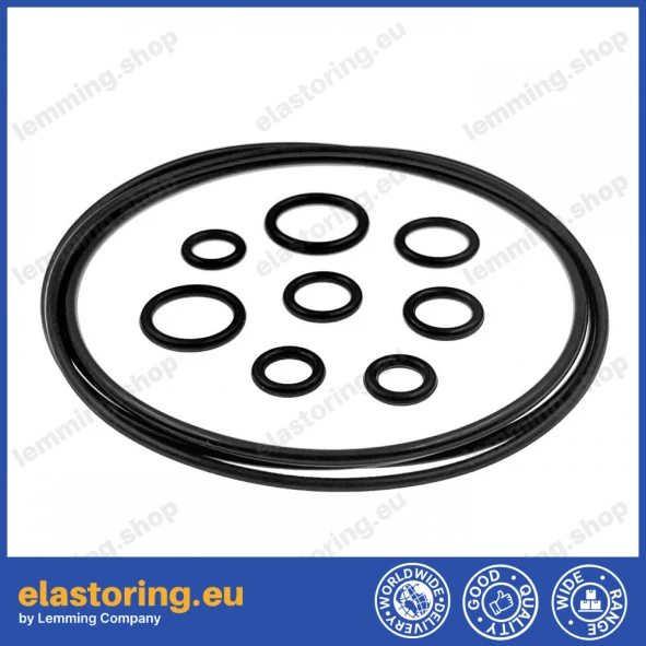 Repair kit for DANFOSS 9900387