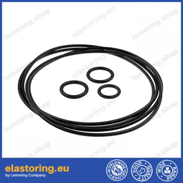 Repair kit for DANFOSS 9900389