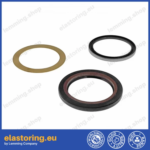 Repair kit for DANFOSS 9900389