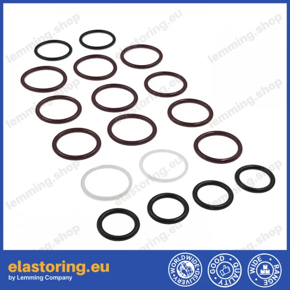 Repair kit for EATON 5423 MOTOR