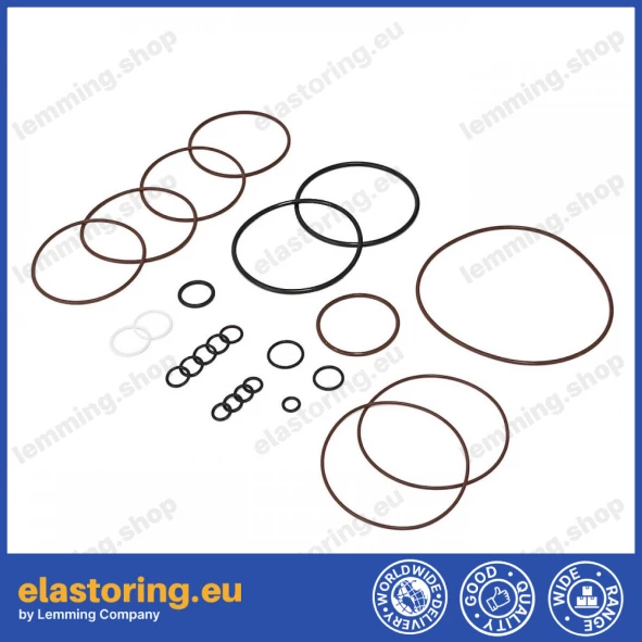 Repair kit for EATON 5423 PUMP