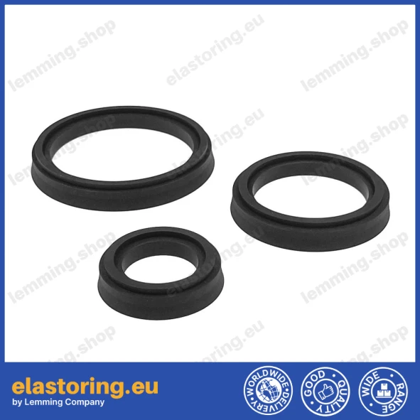 Seal kit for the 'Rumunka' trailer tipping cylinder