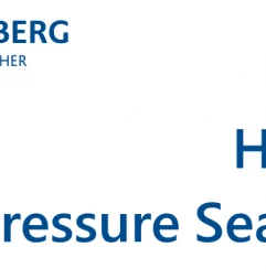 Oil Seal Type HLPS Oil Seal Type HLPS