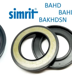 High Pressure Oil Seals BAHDSN